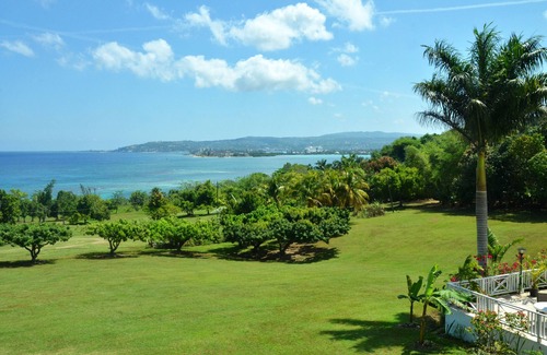 Montego Bay Villa | Wild Orchid 5 BR 5.5 Bth staff Private Paradise Spring Gardens Montego Bay