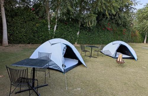 Viratnagar Resort | WILD RIDGE SARISKA RESORT