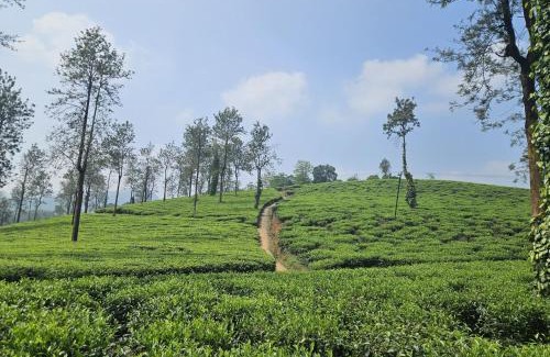 Lakkidi Ski Chalet | Wild root stay- Aster Chalet