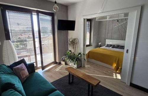 Stare Podgorze Apartment | Wilga Apartments next to the river