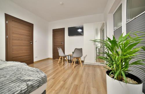 Rabka House | Willa Bania Rabka Zdrój - Bezpłatny całodzienny basen - blisko centrum - Widok na Babią Górę