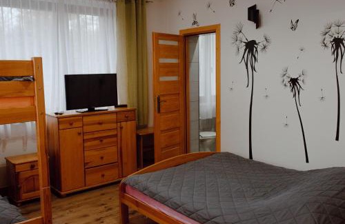 Rabka House | Willa Cicha