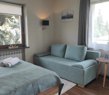 Bialy Dunajec House | Willa Lano