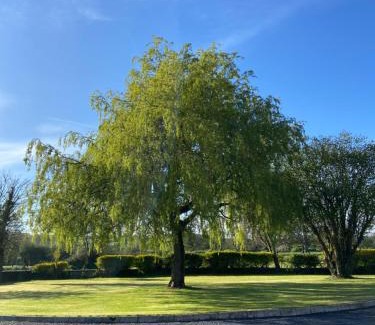 Cashel House | Willow Lodge Cashel- Rock View-Sleeps 8 guests-Spacious- Cosy
