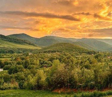 Sadu Ski Chalet | Willow Tiny House - ElysianFields