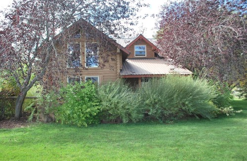 Driggs Apartment | Willow Tree Cabin in Teton Valley
