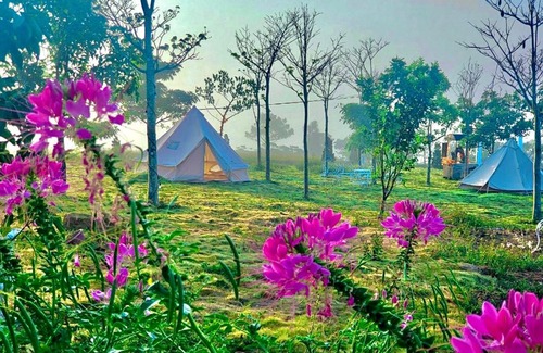 Bao Loc Bed & Breakfast | WINDHILL Bảo Lộc Homestay