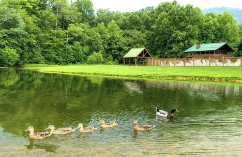 Wears Valley House | Windy Ridge-Pet-Friendly Smoky Mountain Cabin with Fishing Access, Fenced Yard & Free Tickets