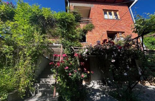 Vedzebi Bed & Breakfast | Wine House KNIAZ