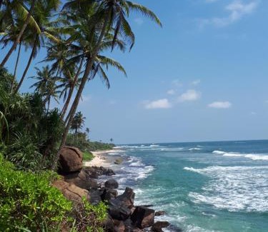 Thalaramba House | Wine Tree Garden Guesthouse