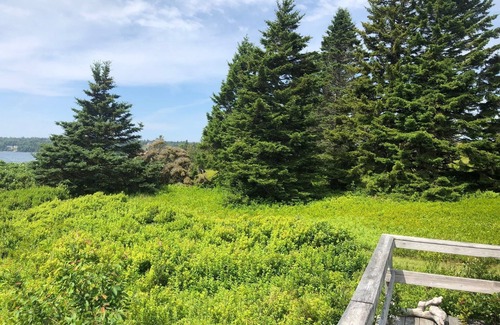 Winter Harbor Cabin | Winter Hbr Oceanside Cabin - Schoodic Point Section of Acadia NP