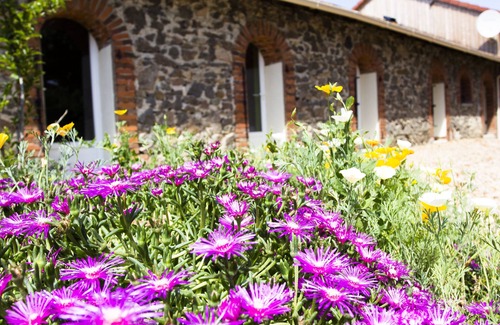 Adriers Cottage | Wisdom Gites - Meadow View holiday cottage with pool, garden and free WiFi,