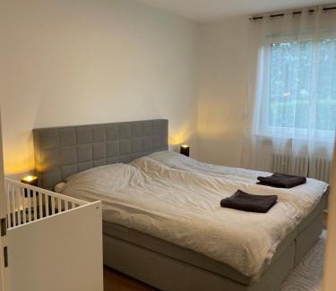 Jungfernkopf Apartment | Wohlfühlen bei DG