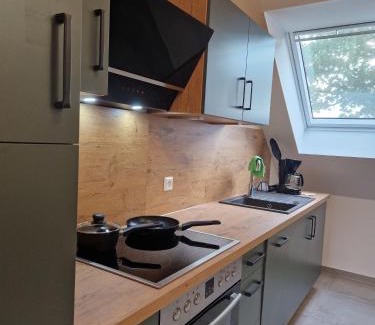 Haseluenne Apartment | Wohnung 1