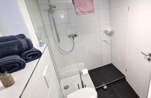 Nuertingen Apartment | Wohnung am HELLER