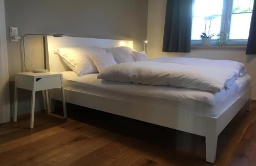 Goetzis Apartment | Wohnung in zentraler Lage im Rheintal