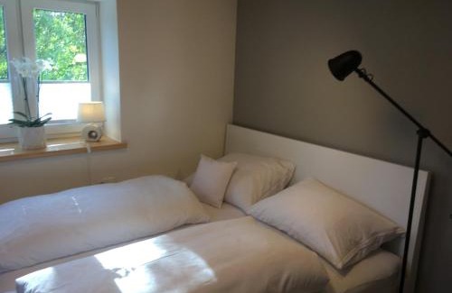 Goetzis Apartment | Wohnung in zentraler Lage im Rheintal