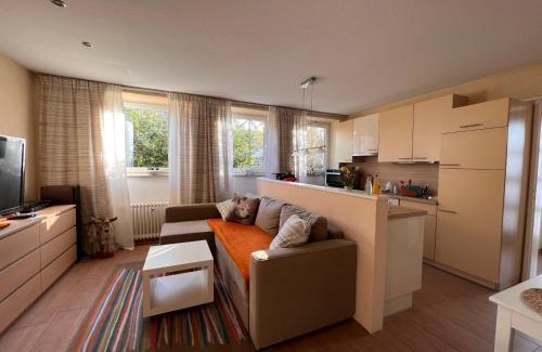 Albersweiler Apartment | Wohnung Löwenstein