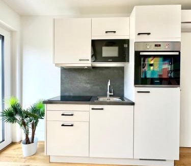 Liesing Apartment | Wohnung mit Balkon