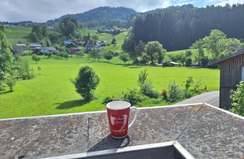 Zwischenwasser Apartment | Wohnung Rheintal im Alpenvorland