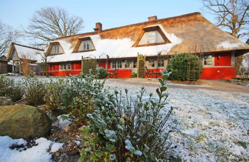 Krems II Apartment | Wohnungen unter Reet