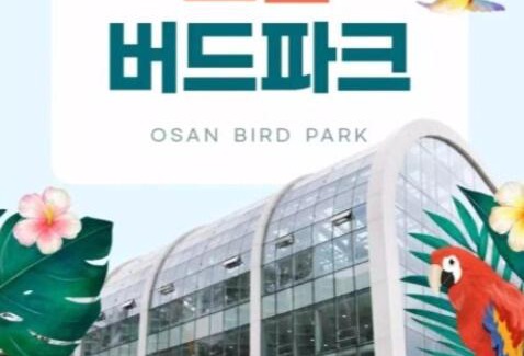 Osan Apartment | Won stay