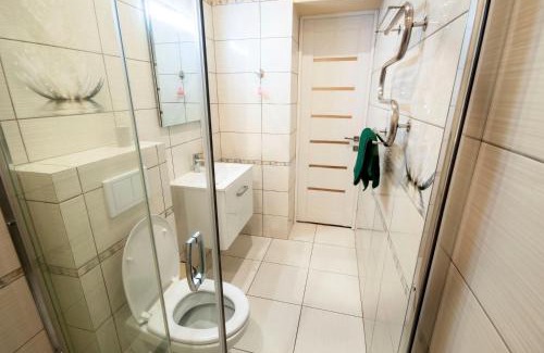 Uzhhorod Apartment | Wonderful flat on city center (Mukachivska 4/16)