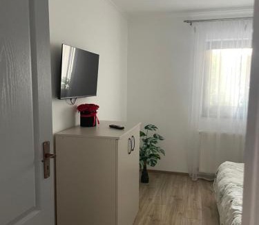 Satu Mare Apartment | Wonderfull Apartments & Rooms