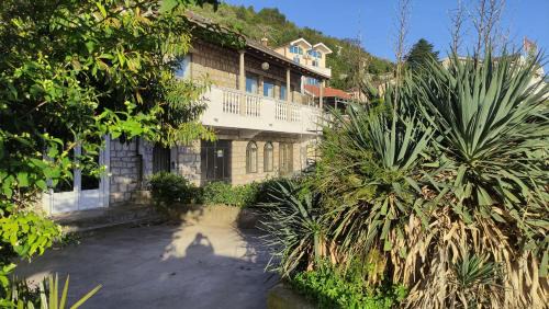 Zelenika Hostel | Woodpecker Backpacker Hostel