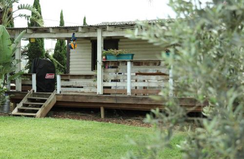 Ramat Tzvi House | Workation experience in beautiful village