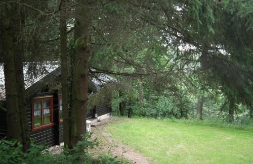 Bad Arolsen House | Wunderschönes Ferienhaus Am Waldrand