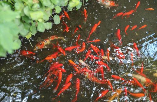 Tongxiang House | Wuzhen Residence B&B