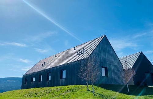 Mostowice Apartment | Wzgórze Owiec Sheep Hill