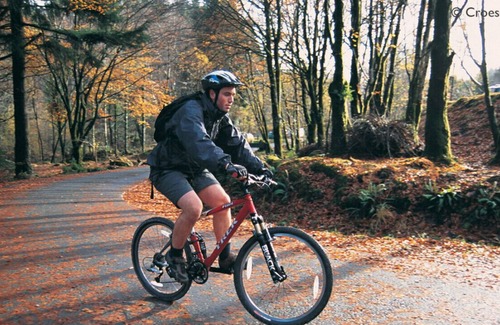 Caersws House | Y Cwtch - One Bedroom House, Sleeps 2