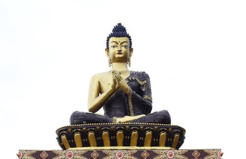 Pelling Hotel | Yangthang Dzimkha Resort