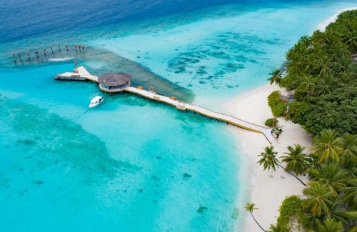 Rinbudhoo Resort | Yash Nature Resort, Maldives