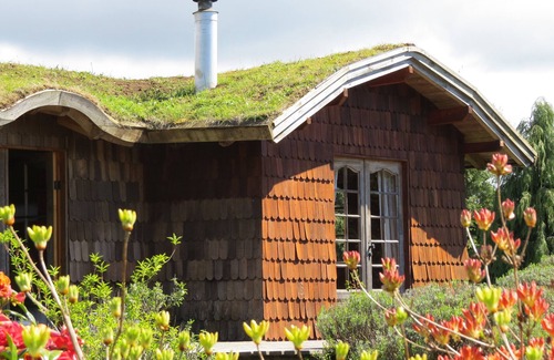 Puerto Octay Bed & Breakfast | Yellow Shoe B&B, comfortable, country Bed and Breakfast