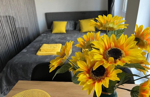 Constanta Apartment | Yellow Studios Constanta