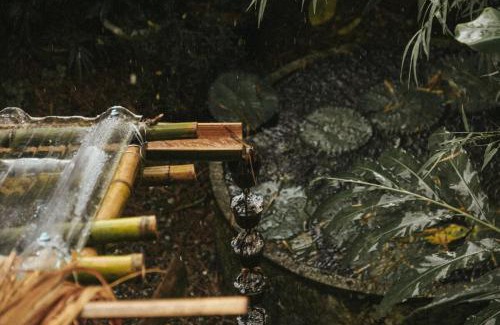 Mueang Ngai Other | Yidan Farmstay in Chiang Dao