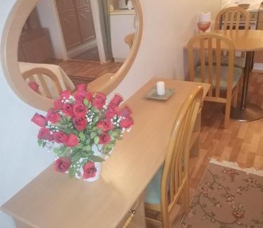 Ikaalinen Apartment | Yksiö upealla järvinäkymällä Termessä