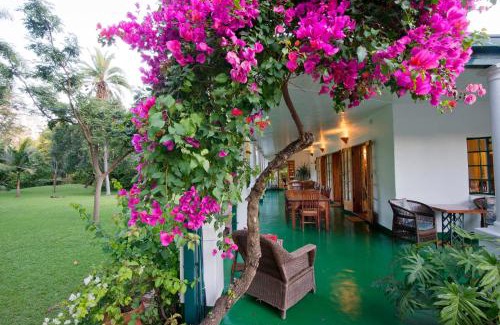 Harare Bed & Breakfast | York Lodge