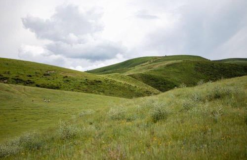 Chuy Province Other | Yurt Camp КӨNӨK