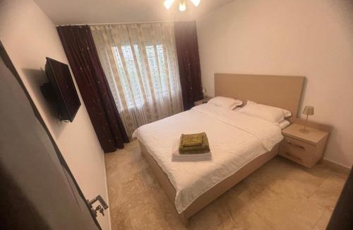 Ramnicu Valcea Apartment | Ywa