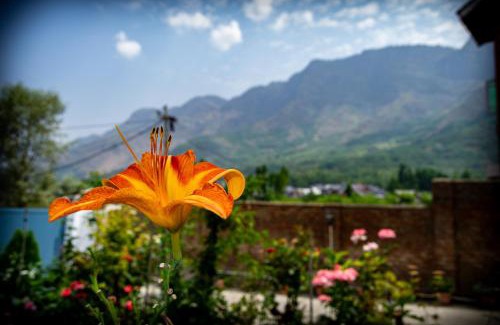 Nishat-Shalimar House | Zabarwan Peaks Villa