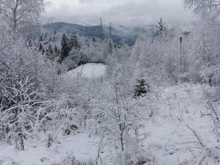 Slavske Cabin | Zacharovany Karpaty