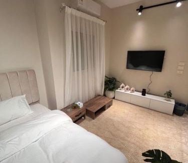 Zamalek Apartment | Zamalek studio S8