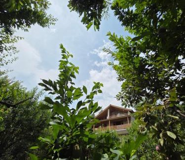 Manali House | Zankhrpas A Himalayan Home - Manali