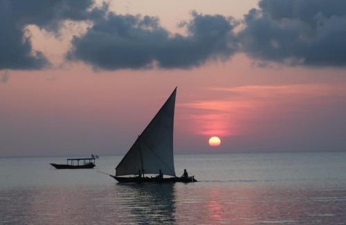 Tunguu Apartment | Zanzibar tour