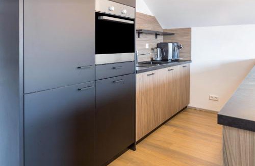 Geisingen Apartment | Zeichner
