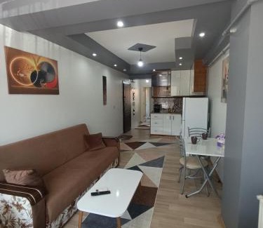 Bagbasi Apartment | Zeytinapart 2